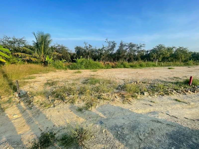 ที่ดินบ้านแพ้ว สมุทรสาคร, Samut Sakhon, Amphaeng, Ban Phaeo, Samut Sakhon, , 120 sqm, Land For Sale, by The Best Property Agent กวาง, 500355920 - DDproperty.com