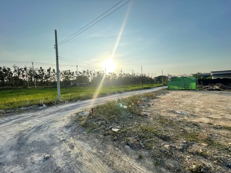 ที่ดินบ้านแพ้ว สมุทรสาคร, Samut Sakhon, Amphaeng, Ban Phaeo, Samut Sakhon, , 120 sqm, Land For Sale, by The Best Property Agent กวาง, 500355920 - DDproperty.com