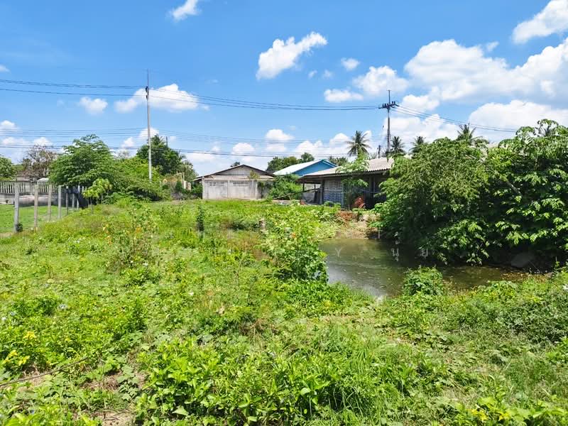 บ้านเดี่ยวพร้อมที่ดินนครชัยศรี นครปฐม, Nakhon Pathom, Bang Rakam, Nakhon Chai Sri, Nakhon Pathom, 4 Bedrooms, 100 sqm, Single Detached House For Sale, by The Best Property นุ้ย, 500355925 - DDproperty.com