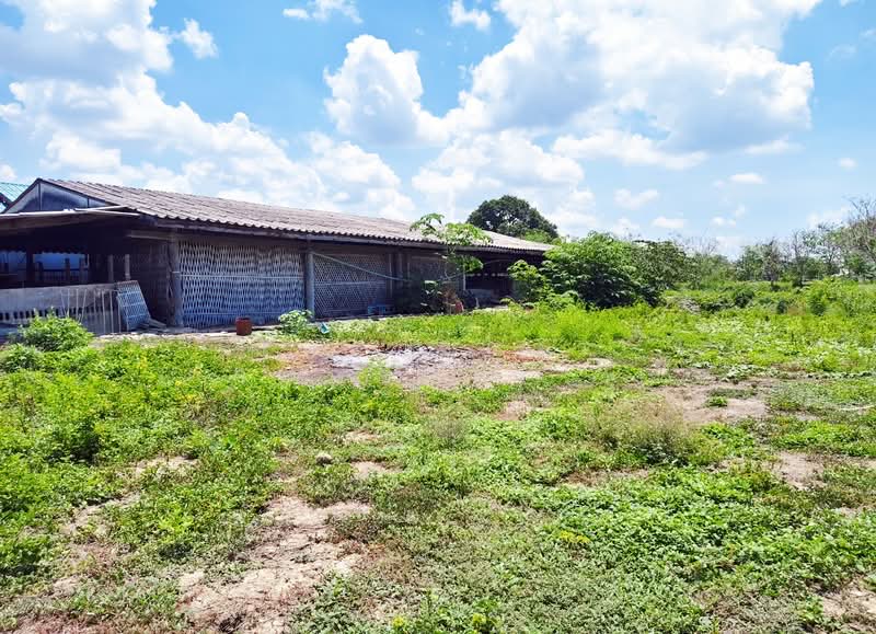 บ้านเดี่ยวพร้อมที่ดินนครชัยศรี นครปฐม, Nakhon Pathom, Bang Rakam, Nakhon Chai Sri, Nakhon Pathom, 4 Bedrooms, 100 sqm, Single Detached House For Sale, by The Best Property นุ้ย, 500355925 - DDproperty.com