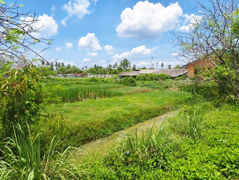บ้านเดี่ยวพร้อมที่ดินนครชัยศรี นครปฐม, Nakhon Pathom, Bang Rakam, Nakhon Chai Sri, Nakhon Pathom, 4 Bedrooms, 100 sqm, Single Detached House For Sale, by The Best Property นุ้ย, 500355925 - DDproperty.com