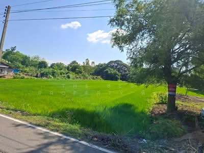 ขาย - ที่ดินสามชุก สุพรรณบุรี, สุพรรณบุรี