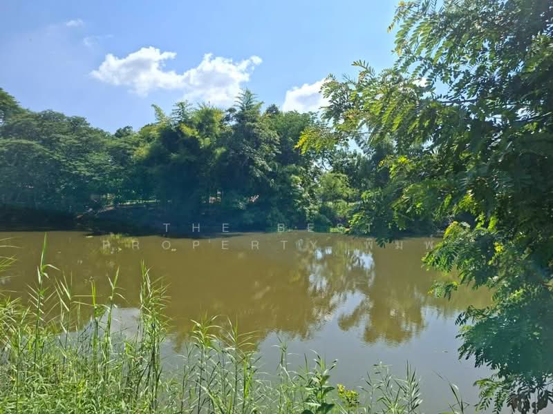 ที่ดินสามชุก สุพรรณบุรี, สุพรรณบุรี, วังลึก, สามชุก, สุพรรณบุรี, 3,668 ตร.ม., ที่ดิน ขาย, โดย The Best Property พิมพ์, 500355928 - DDproperty.com