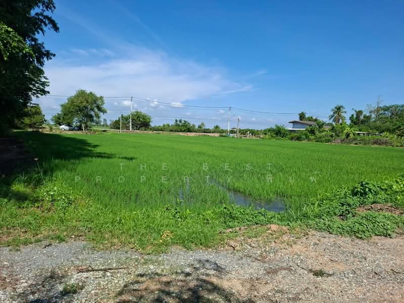 ที่ดินสามชุก สุพรรณบุรี, Suphan Buri, Wang Luk, Sam Chuk, Suphan Buri, , 3,668 sqm, Land For Sale, by The Best Property พิมพ์, 500355928 - DDproperty.com