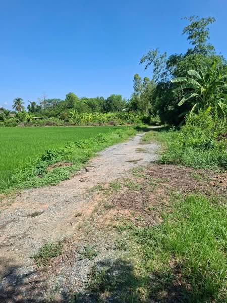 ที่ดินสามชุก สุพรรณบุรี, สุพรรณบุรี, วังลึก, สามชุก, สุพรรณบุรี, 3,668 ตร.ม., ที่ดิน ขาย, โดย The Best Property พิมพ์, 500355928 - DDproperty.com