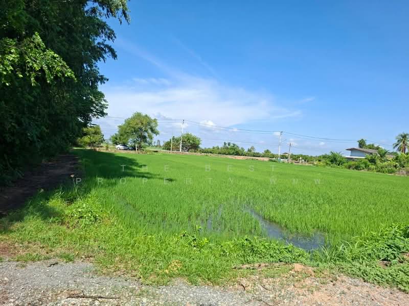 ที่ดินสามชุก สุพรรณบุรี, Suphan Buri, Wang Luk, Sam Chuk, Suphan Buri, , 3,668 sqm, Land For Sale, by The Best Property พิมพ์, 500355928 - DDproperty.com
