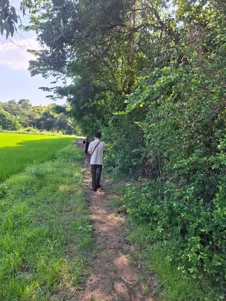 ที่ดินสามชุก สุพรรณบุรี, Suphan Buri, Wang Luk, Sam Chuk, Suphan Buri, , 3,668 sqm, Land For Sale, by The Best Property พิมพ์, 500355928 - DDproperty.com
