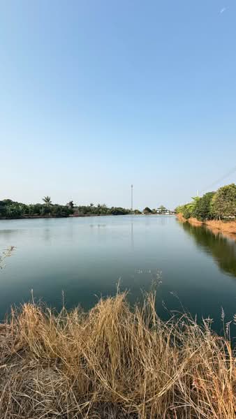 ที่ดินบางเสาธง สมุทรปราการ, Samut Prakan, Srisa Chorakhe Noi, Bang Sao Thong, Samut Prakan, , 12,800 sqm, Land For Sale, by The Best Property Agent ทอง, 500355934 - DDproperty.com