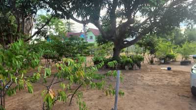 ขาย - ชะอำ, เพชรบุรี