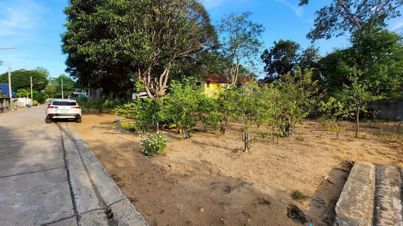 ชะอำ, Phetchaburi, Cha-am, Cha-Am, Phetchaburi, , 196 sqm, Land For Sale, by ขวัญฤดี รัตนชู, 500356008 - DDproperty.com