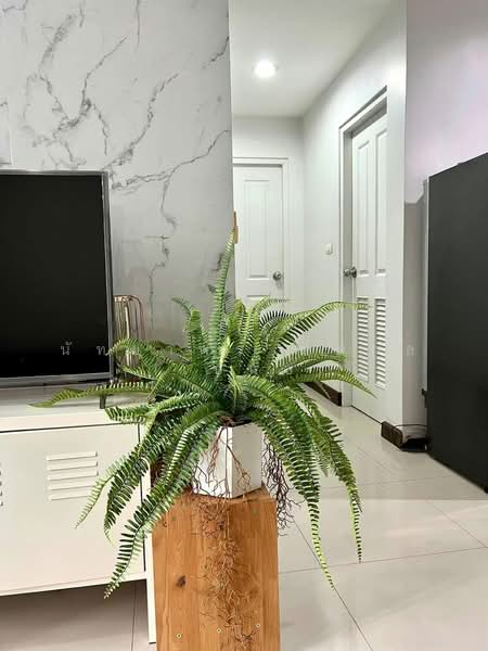 @City Condominium, Bangkok, 169 Sukhumvit Road, Bang Chak, Phra Khanong, Bangkok, 2 Bedrooms, 55 sqm, Condo For Rent, by Nattayaporn Peumkul (Benz), 500356013 - DDproperty.com