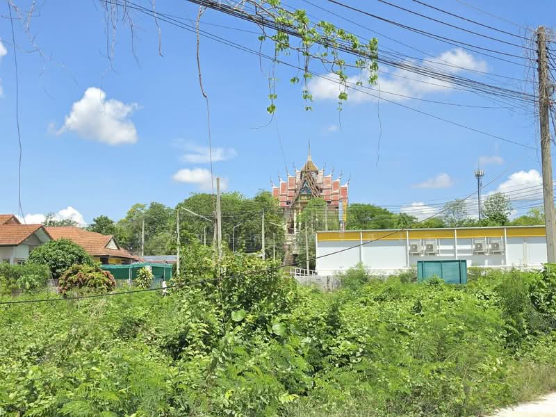 ขายที่ดินเปล่า ถมแล้ว ต.หินกอง อ.เมืองราชบุรี จ.ราชบุรี, Ratchaburi, Hin Kong, Muang Ratchaburi, Ratchaburi, , 480 sqm, Land For Sale, by จุฑามาส ศรีสง่า, 500356053 - DDproperty.com