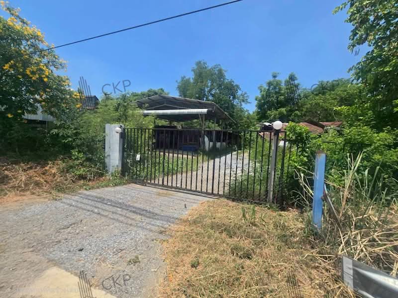 Vacant land for sale, 2 rai 304 sq.wa, 81 meters frontage, Suitable for a homestay or resort. |93307, Phra Nakhon Si Ayutthaya, Ban Chung, Nakhon Luang, Phra Nakhon Si Ayutthaya, , 4,416 sqm, Land For Sale, by Thidarat Chaijumroonpun, 500356054 - DDproperty.com