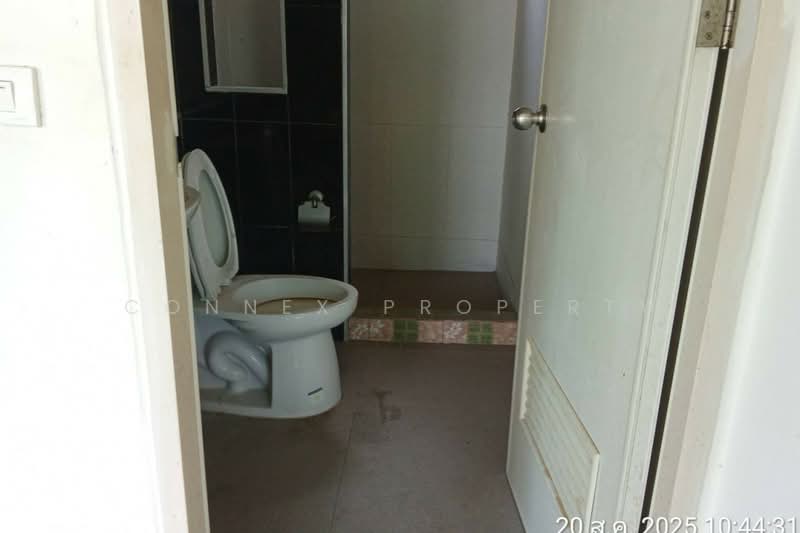 Pinruethai Rangsit - Klong 7, Pathum Thani, Rangsit, Thanyaburi, Pathum Thani, 2 Bedrooms, 77 sqm, Townhouse For Sale, by Connex Property, 500356058 - DDproperty.com