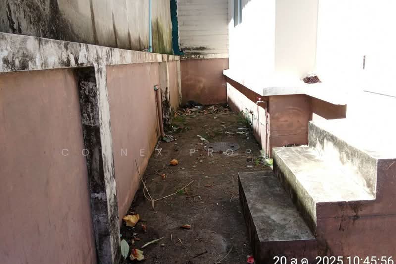 Pinruethai Rangsit - Klong 7, Pathum Thani, Rangsit, Thanyaburi, Pathum Thani, 2 Bedrooms, 77 sqm, Townhouse For Sale, by Connex Property, 500356058 - DDproperty.com