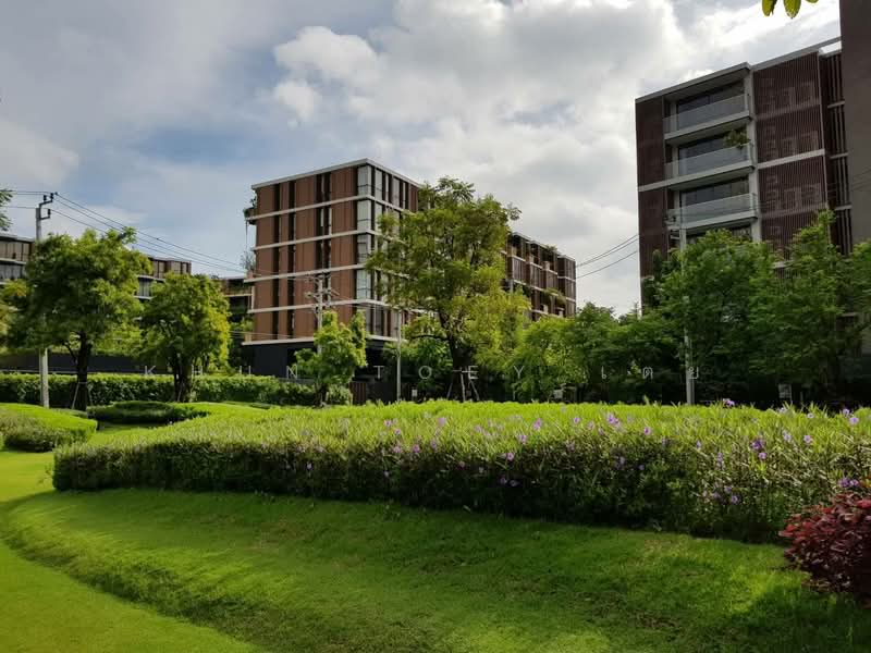 Mori Haus, Bangkok, Soi On Nut 1/1 Sukhumvit Road77, Phra Kanong Nua, Watthana, Bangkok, 1 Bedroom, 36 sqm, Condo For Rent, by Khun Toey เตย, 500356073 - DDproperty.com