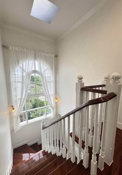 City Plus Sukhumvit 50, Bangkok, Soi Sukhumvit 50, Phra Kanong, Khlong Toei, Bangkok, 3 Bedrooms, 250 sqm, Townhouse For Rent, by Khun Eve, 500356087 - DDproperty.com