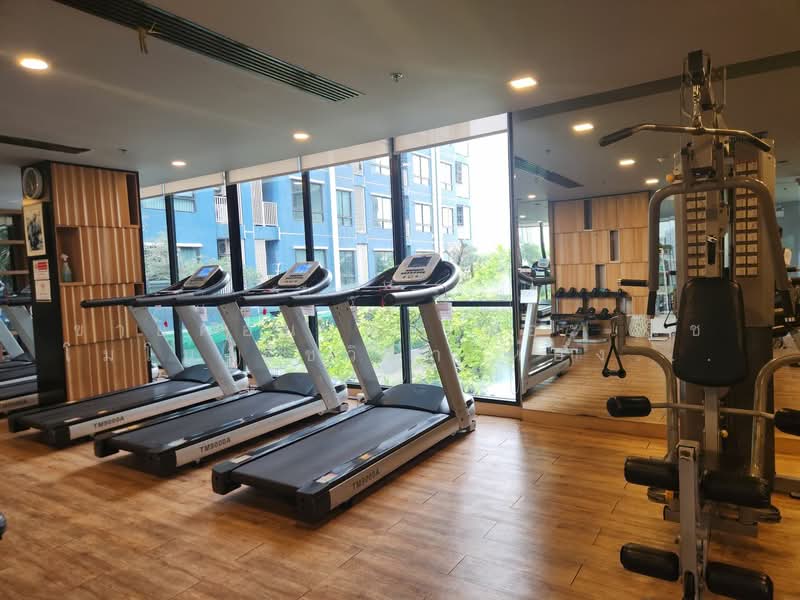 Niche Mono Ratchavipha, Bangkok, 292 Ratchadaphisek Road, Lat Yao, Chatuchak, Bangkok, 2 Bedrooms, 30 sqm, Condo For Sale, by คุณเอ็มมี่, 500356099 - DDproperty.com