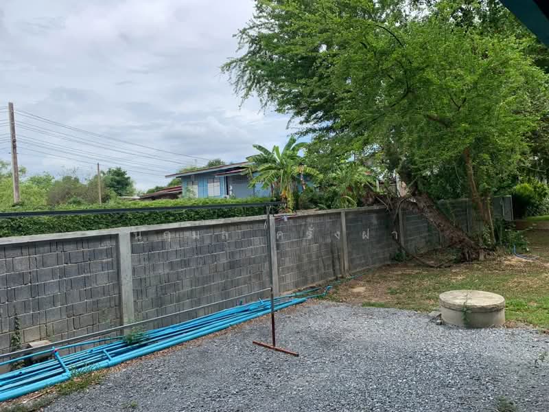 ขายกิจการรีสอร์ท บ้าน 2 หลัง บางไทร อยุธยา รวมที่ดินทั้งหมด 627 ตรว บรรยากาศริมน้ำ พร้อมดำเนินกิจการ, พระนครศรีอยุธยา, บ้านแป้ง, บางไทร, พระนครศรีอยุธยา, 2,508 ตร.ม., ที่ดิน ขาย, โดย นฤมล ครั่งฝา, 500356148 - DDproperty.com