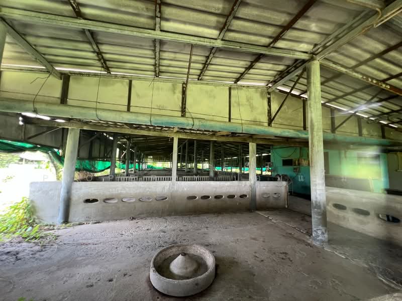 ที่ดินพร้อมสิ่งปลูกสร้างสวนป่าน นครปฐม, Nakhon Pathom, Suan Pan, Muang Nakhon Pathom, Nakhon Pathom, , 5,272 sqm, Land For Sale, by The Best Property ป้อมแป๋ม, 500356206 - DDproperty.com
