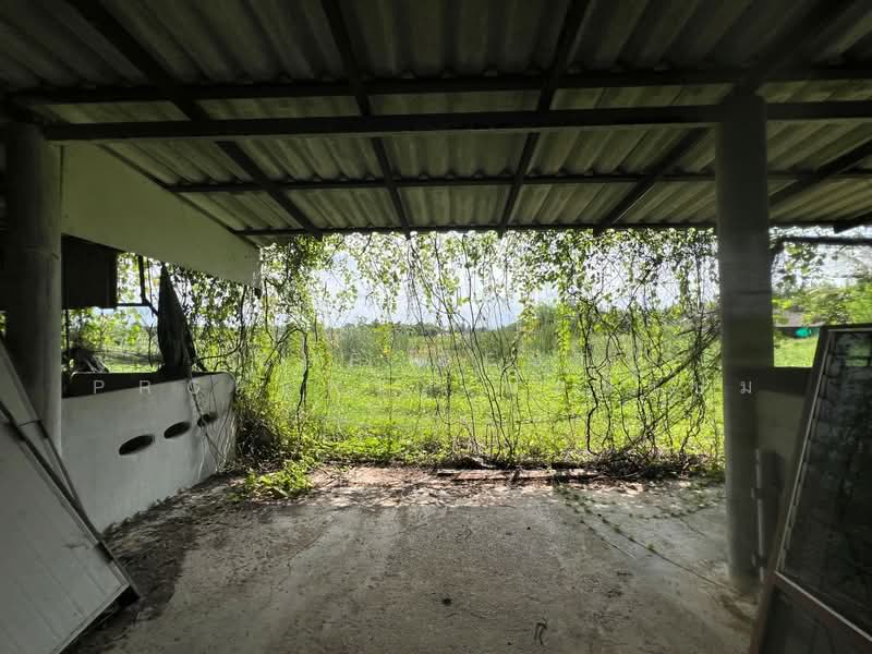 ที่ดินพร้อมสิ่งปลูกสร้างสวนป่าน นครปฐม, Nakhon Pathom, Suan Pan, Muang Nakhon Pathom, Nakhon Pathom, , 5,272 sqm, Land For Sale, by The Best Property ป้อมแป๋ม, 500356206 - DDproperty.com