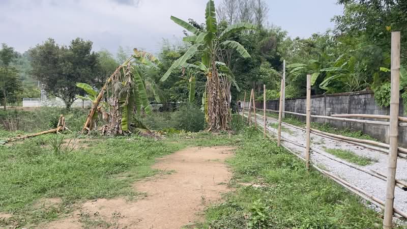 ที่สวนผลไม้ วิวภูเขาสวย บรรยากาศดี ใกล้แหล่งท่องเที่ยว ต.ชะอม อ.แก่งคอย จ.สระบุรี, สระบุรี, ชะอม, แก่งคอย, สระบุรี, 2,000 ตร.ม., ที่ดิน ขาย, โดย ภัษกาญ บัวป้อม, 500356234 - DDproperty.com