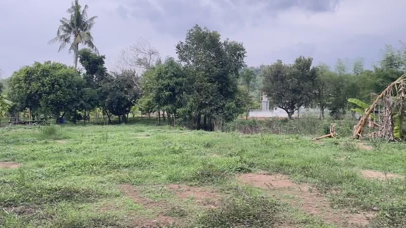 ที่สวนผลไม้ วิวภูเขาสวย บรรยากาศดี ใกล้แหล่งท่องเที่ยว ต.ชะอม อ.แก่งคอย จ.สระบุรี, สระบุรี, ชะอม, แก่งคอย, สระบุรี, 2,000 ตร.ม., ที่ดิน ขาย, โดย ภัษกาญ บัวป้อม, 500356234 - DDproperty.com