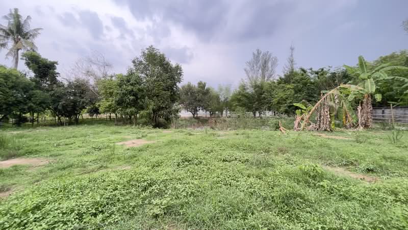 ที่สวนผลไม้ วิวภูเขาสวย บรรยากาศดี ใกล้แหล่งท่องเที่ยว ต.ชะอม อ.แก่งคอย จ.สระบุรี, สระบุรี, ชะอม, แก่งคอย, สระบุรี, 2,000 ตร.ม., ที่ดิน ขาย, โดย ภัษกาญ บัวป้อม, 500356234 - DDproperty.com
