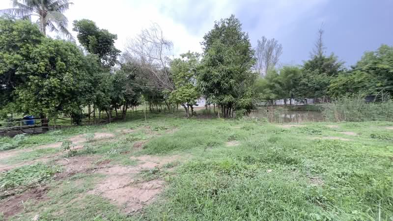ที่สวนผลไม้ วิวภูเขาสวย บรรยากาศดี ใกล้แหล่งท่องเที่ยว ต.ชะอม อ.แก่งคอย จ.สระบุรี, Saraburi, Cha Om, Kaeng Khoi, Saraburi, , 2,000 sqm, Land For Sale, by ภัษกาญ บัวป้อม, 500356234 - DDproperty.com
