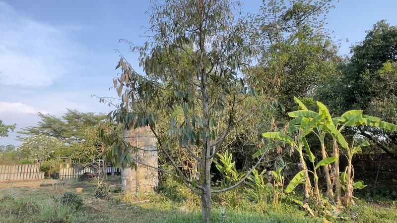 รีสอร์ทพร้อมสวนผลไม้ 2 ไร่ บ้านพริก บ้านนา นครนายก มีบ้านรีสอร์ท 5 หลัง, นครนายก, บ้านพริก, บ้านนา, นครนายก, 100 ตร.ม., บ้านเดี่ยว ขาย, โดย ภัษกาญ บัวป้อม, 500356307 - DDproperty.com