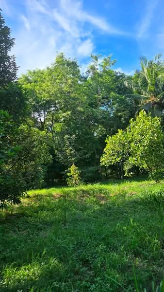 ตะเคียนเตี้ย, Chon Buri (Pattaya), Ta Khian Tia, Bang Lamung (Pattaya), Chon Buri (Pattaya), , 17,968 sqm, Land For Sale, by ภัชลี ลภณวิช, 500356310 - DDproperty.com