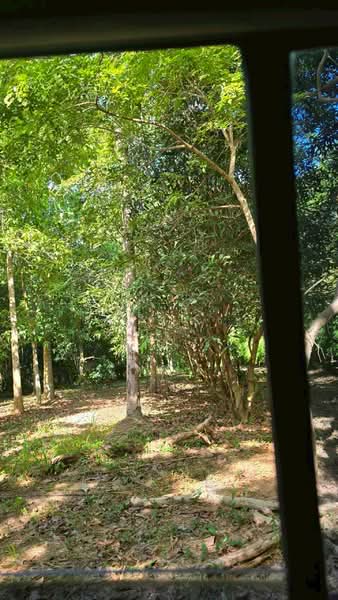 ตะเคียนเตี้ย, Chon Buri (Pattaya), Ta Khian Tia, Bang Lamung (Pattaya), Chon Buri (Pattaya), , 17,968 sqm, Land For Sale, by ภัชลี ลภณวิช, 500356310 - DDproperty.com