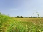 ที่ดินบ้านมะเกลือ นครสวรรค์, นครสวรรค์