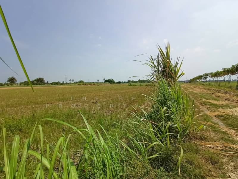 ที่ดินบ้านมะเกลือ นครสวรรค์, Nakhon Sawan, Ban Maklua, Muang Nakhon Sawan, Nakhon Sawan, , 4,396 sqm, Land For Sale, by The Best Property โอ๋, 500356369 - DDproperty.com