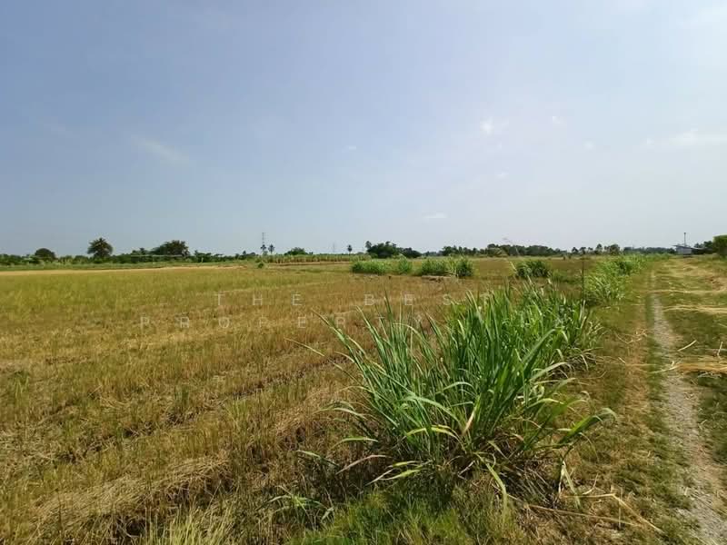 ที่ดินบ้านมะเกลือ นครสวรรค์, Nakhon Sawan, Ban Maklua, Muang Nakhon Sawan, Nakhon Sawan, , 4,396 sqm, Land For Sale, by The Best Property โอ๋, 500356369 - DDproperty.com