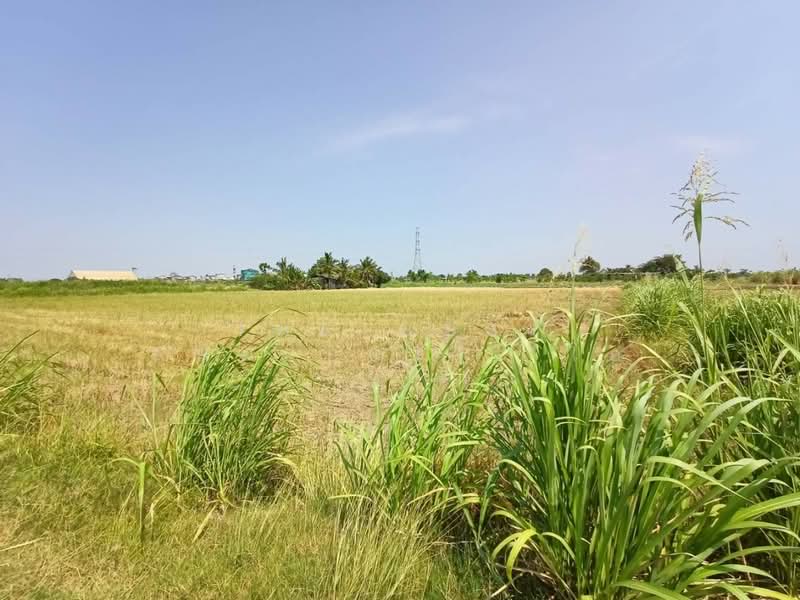 ที่ดินบ้านมะเกลือ นครสวรรค์, นครสวรรค์, บ้านมะเกลือ, เมืองนครสวรรค์, นครสวรรค์, 4,396 ตร.ม., ที่ดิน ขาย, โดย The Best Property  โอ๋, 500356369 - DDproperty.com