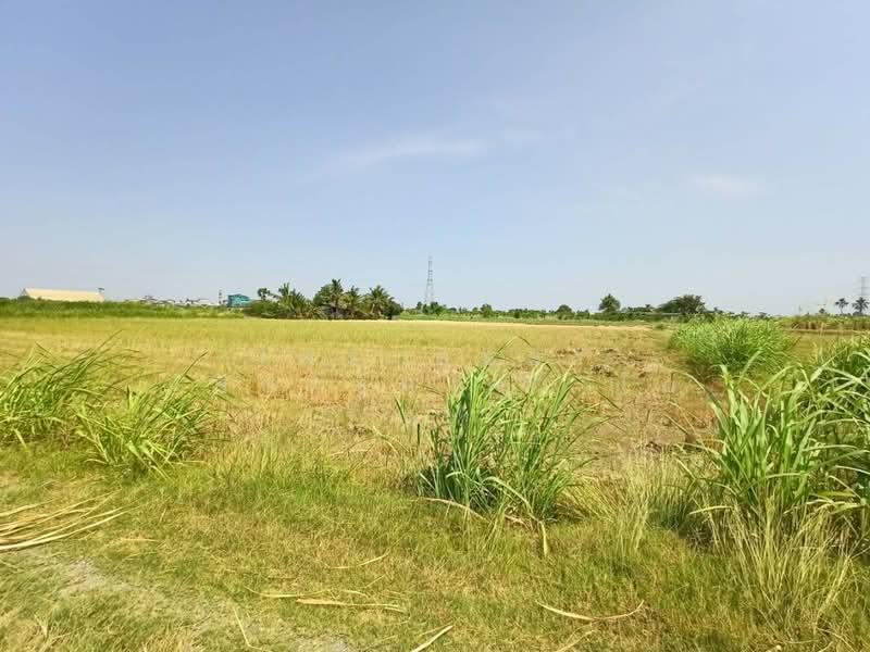 ที่ดินบ้านมะเกลือ นครสวรรค์, Nakhon Sawan, Ban Maklua, Muang Nakhon Sawan, Nakhon Sawan, , 4,396 sqm, Land For Sale, by The Best Property โอ๋, 500356369 - DDproperty.com