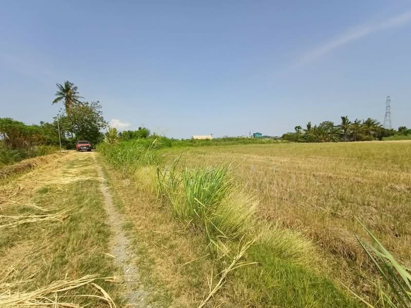 ที่ดินบ้านมะเกลือ นครสวรรค์, นครสวรรค์, บ้านมะเกลือ, เมืองนครสวรรค์, นครสวรรค์, 4,396 ตร.ม., ที่ดิน ขาย, โดย The Best Property  โอ๋, 500356369 - DDproperty.com
