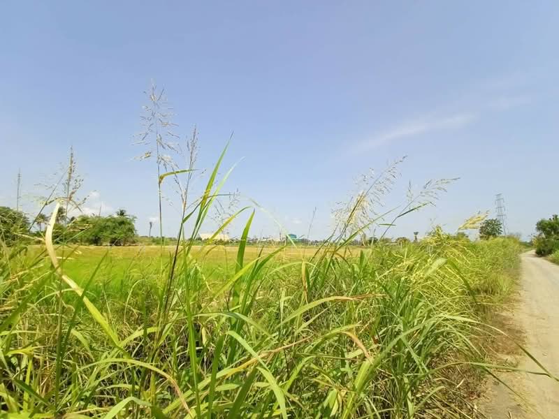 ที่ดินบ้านมะเกลือ นครสวรรค์, นครสวรรค์, บ้านมะเกลือ, เมืองนครสวรรค์, นครสวรรค์, 4,396 ตร.ม., ที่ดิน ขาย, โดย The Best Property  โอ๋, 500356369 - DDproperty.com