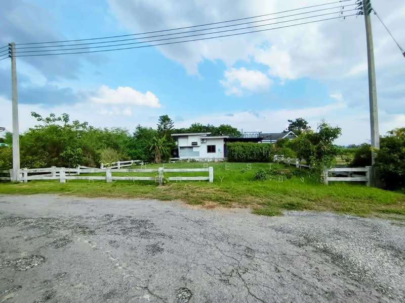 ที่ดินปากช่อง นครราชสีมา, Nakhon Ratchasima, Wang Zai, Pak Chong, Nakhon Ratchasima, , 256 sqm, Land For Sale, by The Best Property  ย้งยี้, 500356406 - DDproperty.com