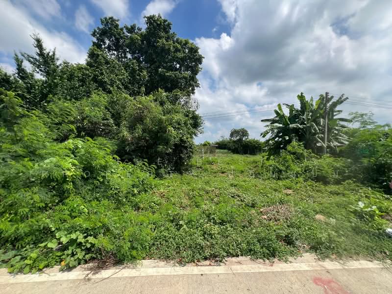 ที่ดินสระกะเทียม นครปฐม, Nakhon Pathom, Sra Kathiam, Muang Nakhon Pathom, Nakhon Pathom, , 800 sqm, Land For Sale, by The Best Property ป้อมแป๋ม, 500356418 - DDproperty.com