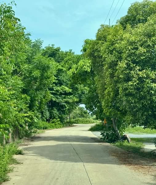 ที่ดิน วิวภูเขา กาญจนบุรี เลาขวัญ 300,000/ไร่, กาญจนบุรี, 3472, หนองประดู่, เลาขวัญ, กาญจนบุรี, 4,800 ตร.ม., ที่ดิน ขาย, โดย วสันต์ วะสะติ, 500356437 - DDproperty.com