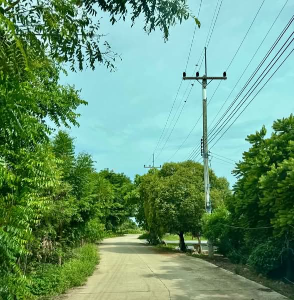 ที่ดิน วิวภูเขา กาญจนบุรี เลาขวัญ 300,000/ไร่, กาญจนบุรี, 3472, หนองประดู่, เลาขวัญ, กาญจนบุรี, 4,800 ตร.ม., ที่ดิน ขาย, โดย วสันต์ วะสะติ, 500356437 - DDproperty.com