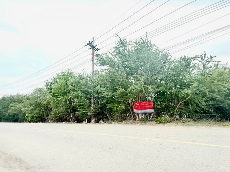 ที่ดินวังตะเคียน ฉะเชิงเทรา, ฉะเชิงเทรา, วังตะเคียน, เมืองฉะเชิงเทรา, ฉะเชิงเทรา, 7,748 ตร.ม., ที่ดิน ขาย, โดย The Best Property เมญ่า, 500356481 - DDproperty.com