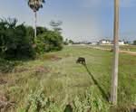 ที่ดินท่ายาง เพชรบุรี, เพชรบุรี