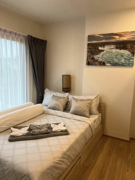 Phyll Phuket, Phuket, 9 Village No. 4 Muang Naka Rd, Wichit, Muang Phuket, Phuket, 1 Bedroom, 33 sqm, Condo For Rent, by MeiMei, 500356547 - DDproperty.com
