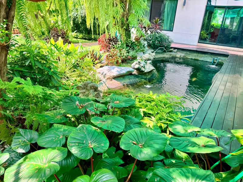 Panya Indra P1, Bangkok, Bang Chun, Khlong Sam Wa, Bangkok, 4 Bedrooms, 560 sqm, Single Detached House For Sale, by ธีรนุช ธีระวาทิน, 500356570 - DDproperty.com