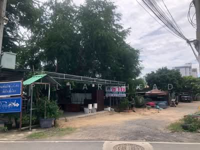 ขาย - ขายที่ดินบางเสร่ ใกล้ทะเล 270 เมตร | 1 ไร่ 1 งาน 89 ตร.ว. | เหมาะสร้างพูลวิลล่าและโครงการที่อยู่อาศั, ชลบุรี