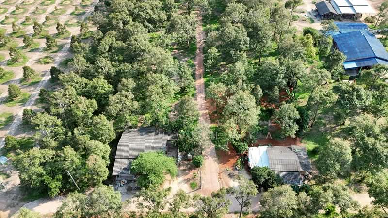 ที่ดินจ.ระยอง, Rayong, Krasae Bon, Klaeng, Rayong, , 32,000 sqm, Land For Sale, by Chanuthsinin Pothichaya, 500356660 - DDproperty.com