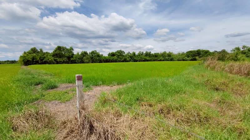 ซอย คู้คลองสิบ 4, กรุงเทพ, มีนบุรี, กรุงเทพ, 11,200 ตร.ม., ที่ดิน ขาย, โดย คุณนิว, 500356707 - DDproperty.com